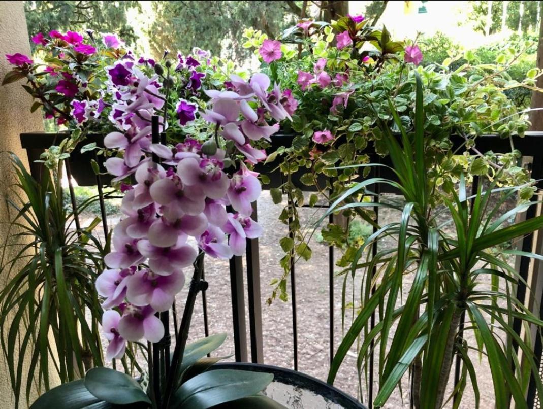 Residence Villa Alba Room Nr 221 Gardone Riviera Zewnętrze zdjęcie